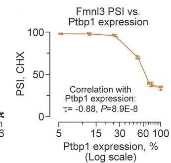 Open access visualization of Line Plot, Error Bars, NS-CE Inclusion, Fmnl3, Ptbp1 Expression