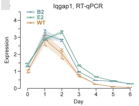 Open access visualization of Line Plot, Error Bars, TRE-Ngn2 ESCs, Wild-Type, NS-CEs