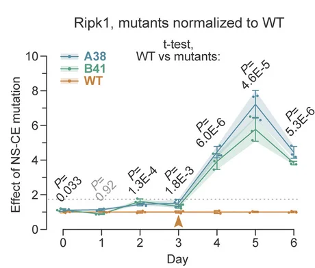 Open access visualization of Line Plot, Error Bars, Fmnl3, Iqgap1, Ripk1