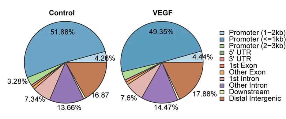 Open access visualization of Pie Chart, Genome-wide Distribution, H3K9la-binding Peaks, Endothelial Cells