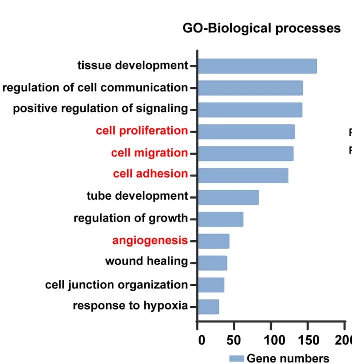 Open access visualization of Bar Plot, GO Analysis, H3K9la Binding Peaks, Candidate Target Genes