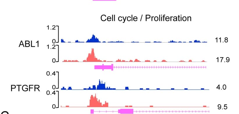 Open access visualization of Line Plot, CUT& Tag signal, ABL1, PTGFR, Genome Browser