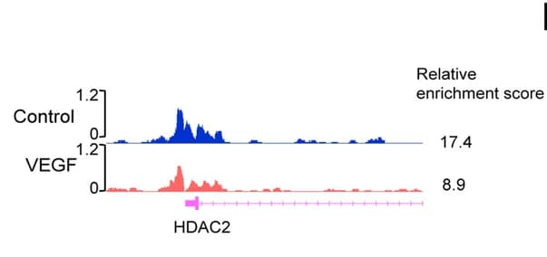 Open access visualization of Line Plot, Density Plot, CUT& Tag, HDAC2 Loci, Genome Browser