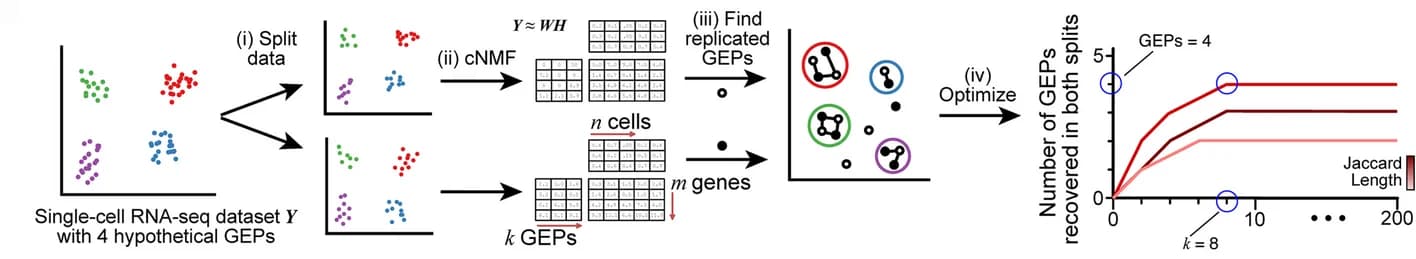 Open access visualization of Workflow, Scatter Plot, Line Plot, acNMF, Gene Expression Programs