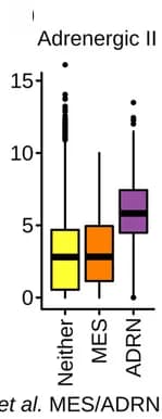 Open access visualization of Box Plot, Gene Expression, Adrenergic II Program, GOSH Dataset