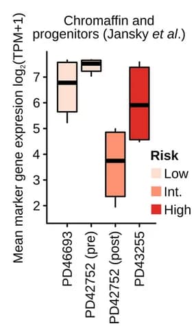 Open access visualization of Box Plot, Gene Expression, Chromaffin Marker Genes, Progenitor Marker Genes, Cancer Cells