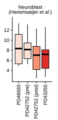 Open access visualization of Box Plot, Gene Expression, Neuroblast Marker Genes, Cancer Cells, Neuroblastoma Samples