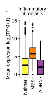 Open access visualization of Box Plot, Gene Expression, Mesenchymal Signature, Adrenergic Signature, Inflammatory Fibroblasts Program