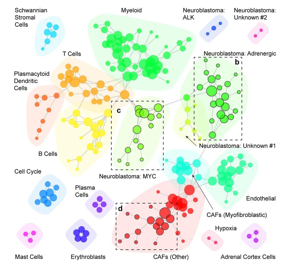 Open access visualization of Network, Gene Expression Programs, Neuroblastoma, Single-Cell RNA-Seq, Human