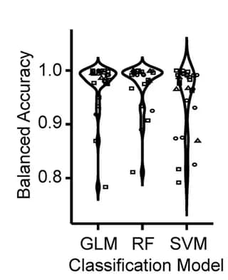 Open access visualization of Violin Plot, Scatter Plot, Violin Plots, Balanced Accuracy, Cancer Cells