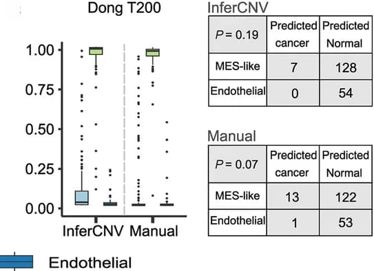 Open access visualization of Box Plot, Table Image, Boxplots, Cancer Cells, GLM Model