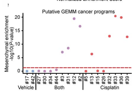 Open access visualization of Scatter Plot, Van Groningen Mesenchymal Signature, Gene Expression Programs, Cancer Cells, GEMM