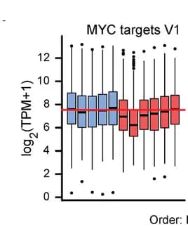 Open access visualization of Box Plot, Boxplot, Pseudobulk Expression, Cancer Cells, MYC Targets V1