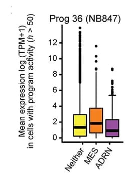 Open access visualization of Box Plot, Boxplots, Gene Expression, Van Groningen Mesenchymal Signature, Van Groningen Adrenergic Signature