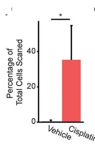 Open access visualization of Bar Plot, Error Bars, Twist1 Positive Cells, Mouse Slides, HALO Software