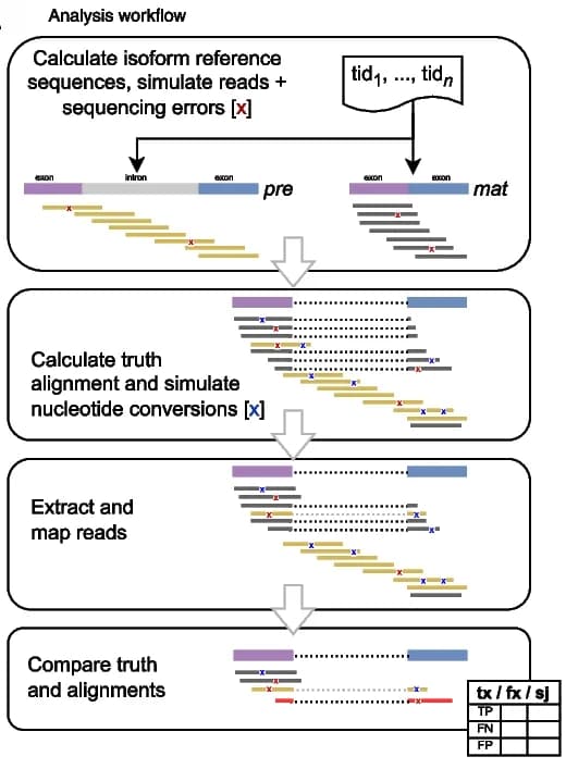Open access visualization of Workflow, Flowchart, Table Image, Analysis Workflow, Simulated Data