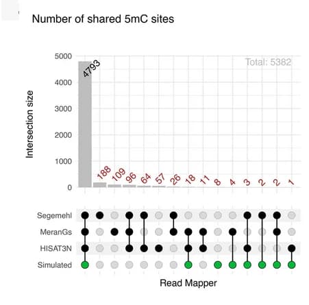 Open access visualization of Bar Plot, UpSet, Methylation Rates, Correlation, Simulated Data