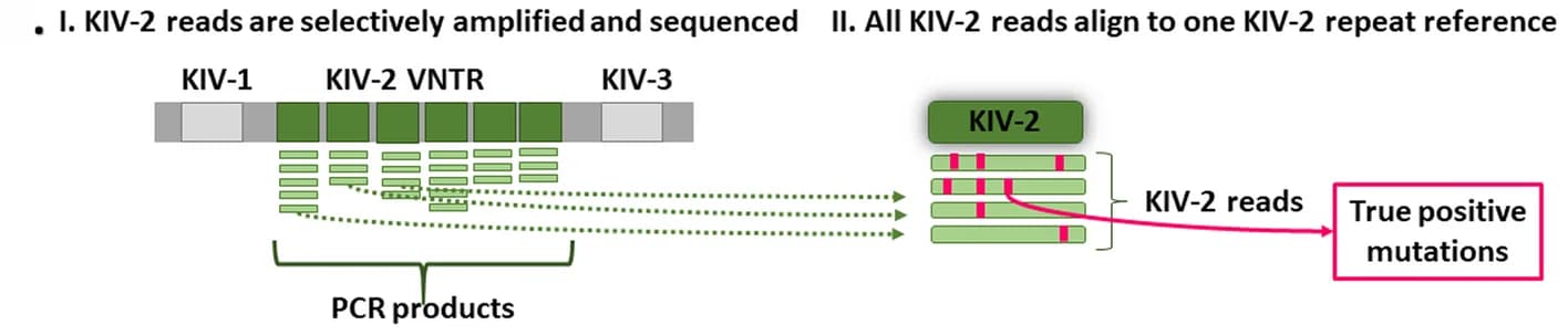 Open access visualization of Workflow, Illustration, KIV-2 Repeats, Sequencing, Variant Calling