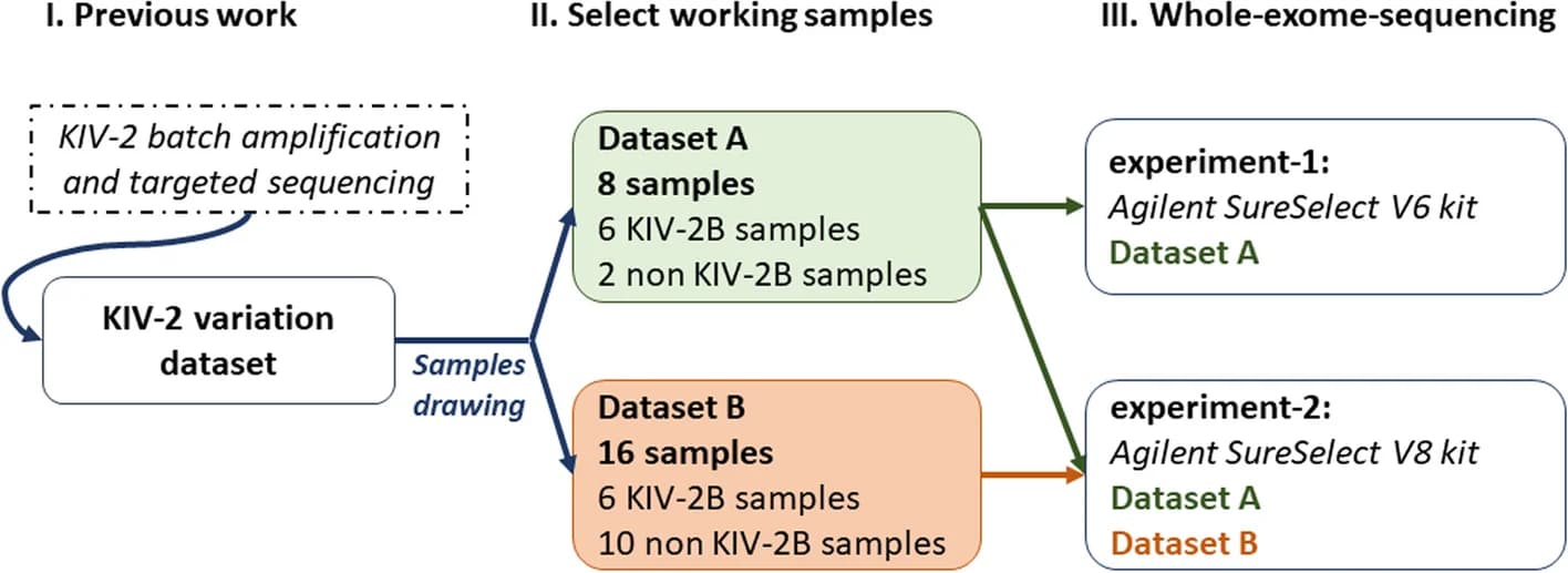 Open access visualization of Workflow, Flowchart, KIV-2 Variation Dataset, KIV-2 Variants, Exome Data