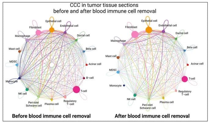 Open access visualization of Network, Pathway, CCC, Tumor Tissues, Blood Immune Cell Removal