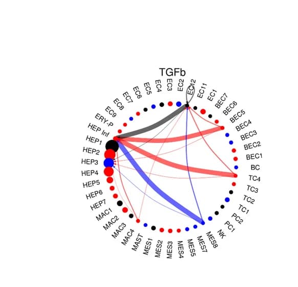 Open access visualization of Chord, Circle Plot, Cell-Cell Communication, TGFb Pathway, Hepatocytes