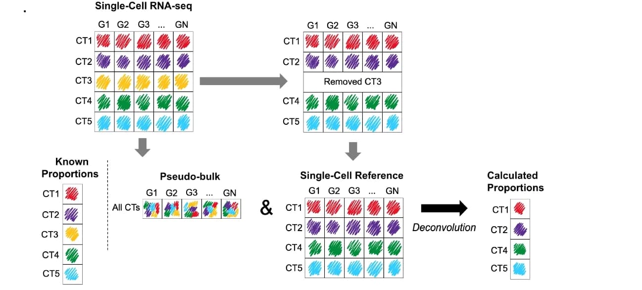 Open access visualization of Workflow, Flowchart, Single-Cell RNA-Seq, Pseudobulks, Deconvolution