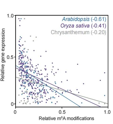 Open access visualization of Scatter Plot, Regression Plot, m6A Methylation, Gene Expression, Arabidopsis