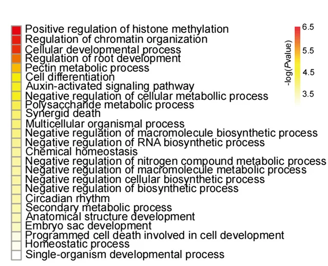 Open access visualization of Heatmap, Gene Ontology, Biological Processes, m6A Modification, UTR Regions