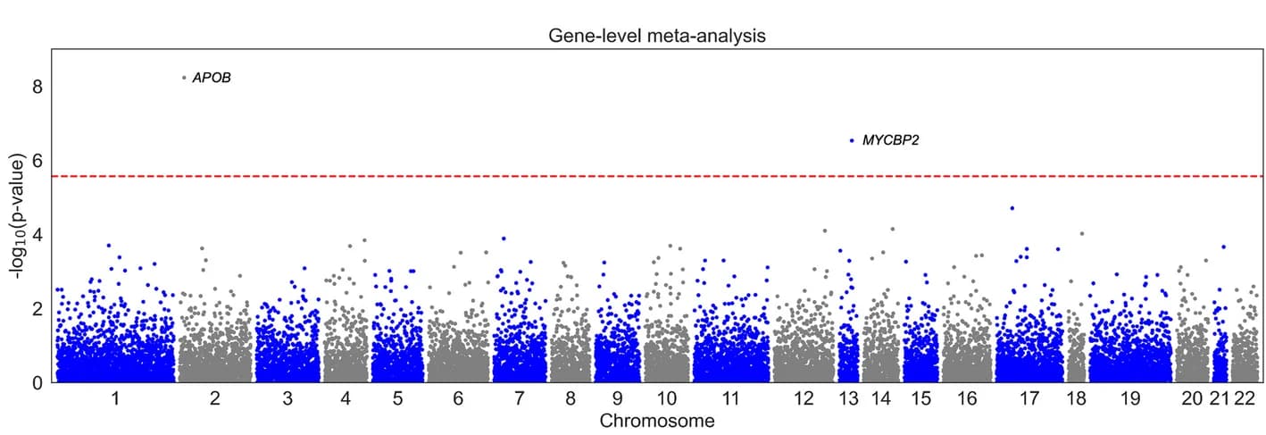 Open access visualization of Manhattan Plot, Scatter Plot, Gene-Level Testing, Exome-Wide Significance, Bonferroni Significance