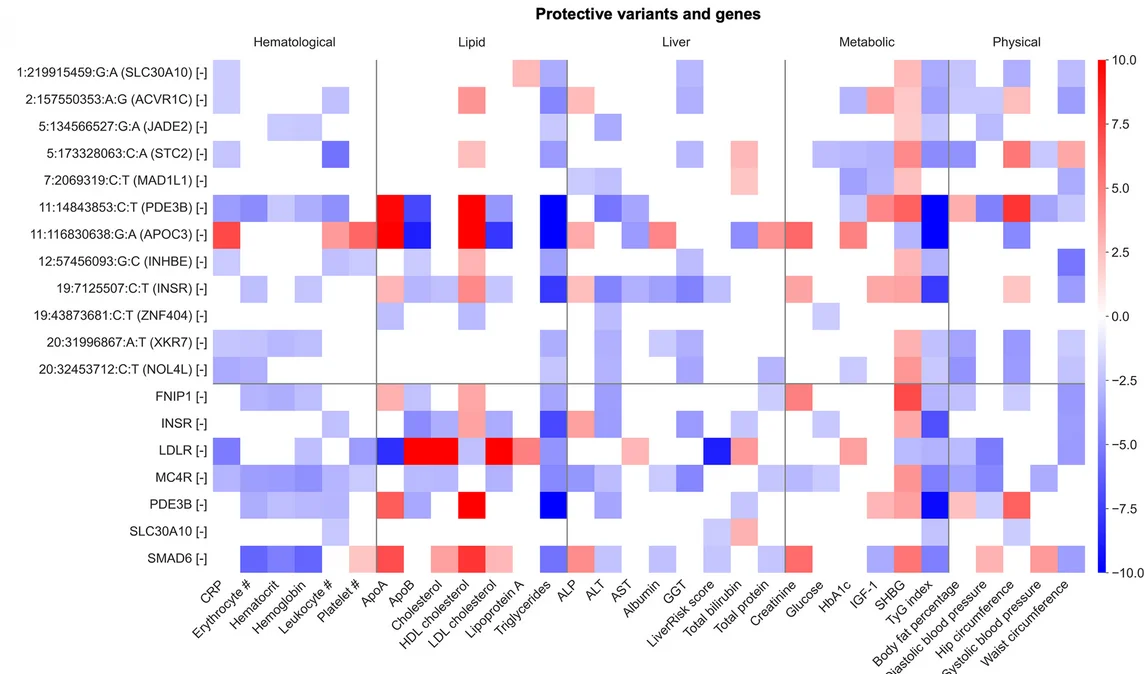 Open access visualization of Heatmap, MASLD, PDFF, Single Variant Associations, Gene-Level Associations