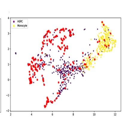 Open access visualization of Scatter Plot, UMAP, PCA, DDM, Diffusion Steps