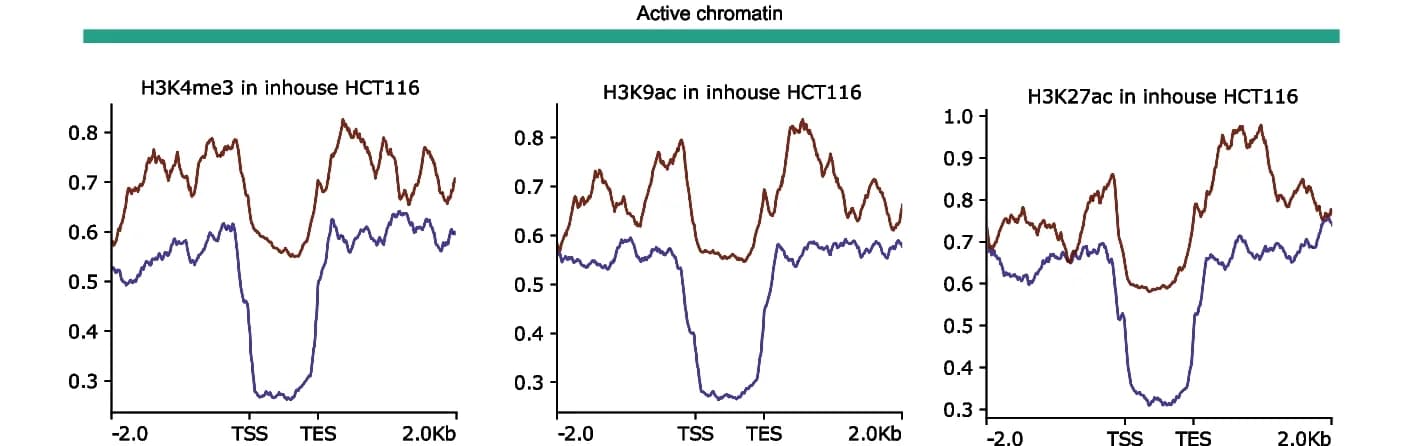 Open access visualization of Line Plot, Active Chromatin, Fold Change, HCT116 Cell Line, TEs