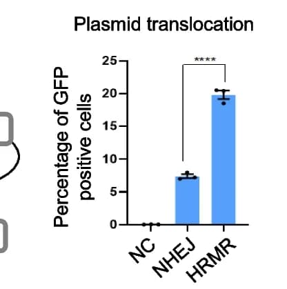Open access visualization of Bar Plot, Error Bars, GFP Positive Cells, FACS, HRMR Control