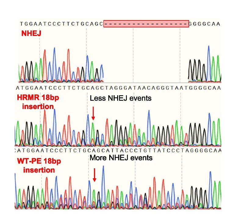 Open access visualization of Line Plot, Sanger Sequencing, Chromatograms, Repair Outcomes, Nested Peaks