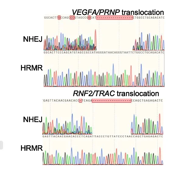 Open access visualization of Line Plot, HTS, VEGFA Genomic Site, Genomic DNA, Sorted Cells