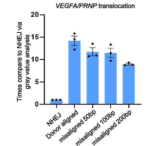 Open access visualization of Bar Plot, Error Bars, Translocation Efficiency, Homologous Donor, HEK293T Cells