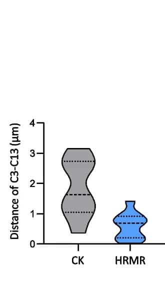 Open access visualization of Violin Plot, Chromosome C3, Chromosome C13, Reconnection