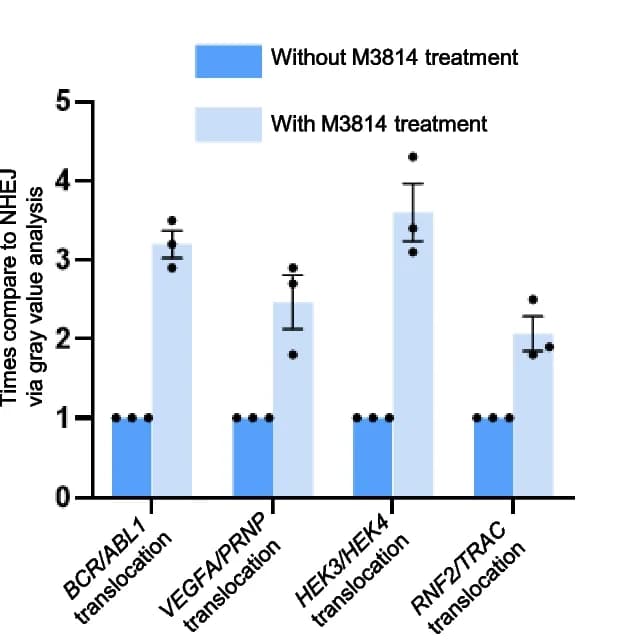 Open access visualization of Bar Plot, Error Bars, Clustered, Translocation Efficiency, M3814 Treatment