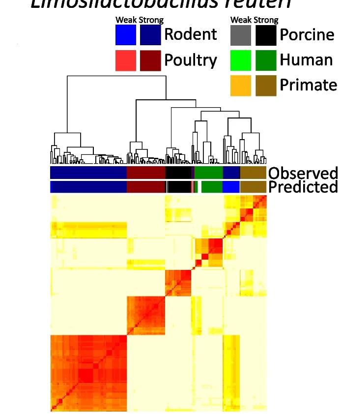 Open access visualization of Heatmap, Clustered, Distance Matrix, Random Forest, Hierarchical Clustering