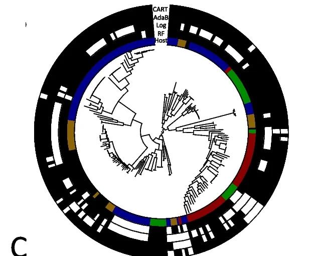 Open access visualization of Network, Pathway, Bar, Bar Plot, Core Genome