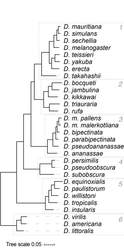Open access visualization of Network, Pathway, Phylogenetic Tree, Gene Trees, Species Subgroups