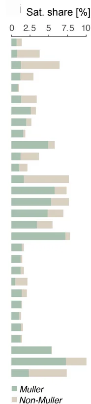 Open access visualization of Bar Plot, Stacked Bar Plot, Satellite DNA, Genomic Sequence, Muller Element Scaffolds