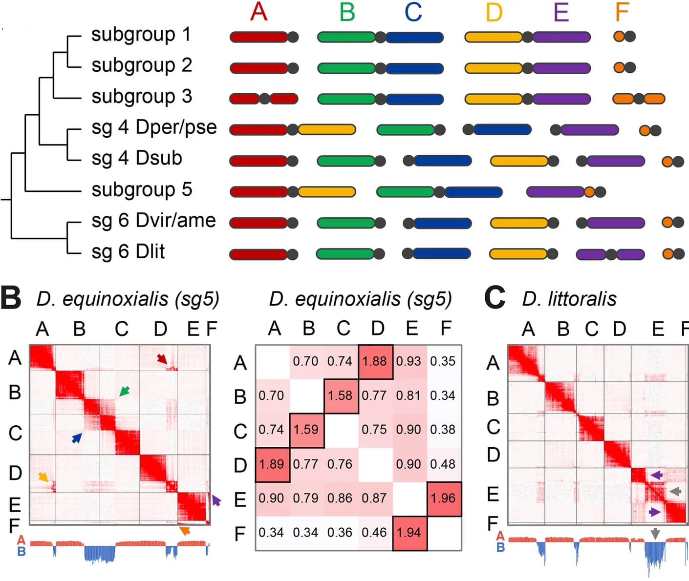Open access visualization of Heatmap, Bar Plot, Clustered, Workflow, Muller Element