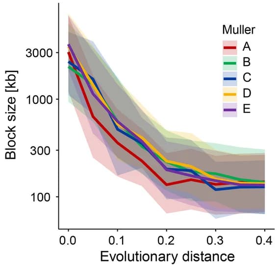 Open access visualization of Line Plot, Error Bars, Syntenic Block Size, Evolutionary Distance, Muller Element