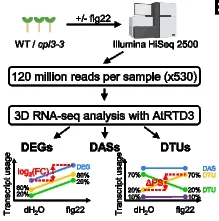 Open access visualization of Workflow, Line Plot, Transcriptome Profiling, Alternative Splicing, Flg22 Treatment