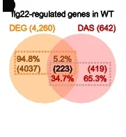 Open access visualization of Venn Diagram, DEGs, DASs, Overlapping Genes