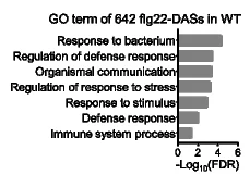 Open access visualization of Bar Plot, Gene Ontology, GO Analysis, DASs, Fold Enrichment