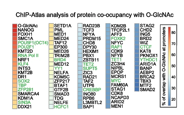 Open access visualization of Bar Plot, Signal Overlap, Promoters, O-GlcNAc Peaks, ChIP-Atlas Datasets