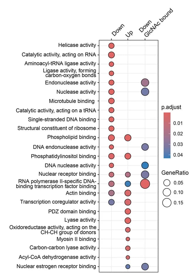 Open access visualization of Bubble Plot, Volcano Plot, Gene Set Enrichment Analysis, Gene Ontology, Molecular Function