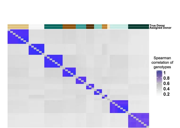 Open access visualization of Heatmap, Spearman Correlation, Genotypes, Samples, PRJNA388006